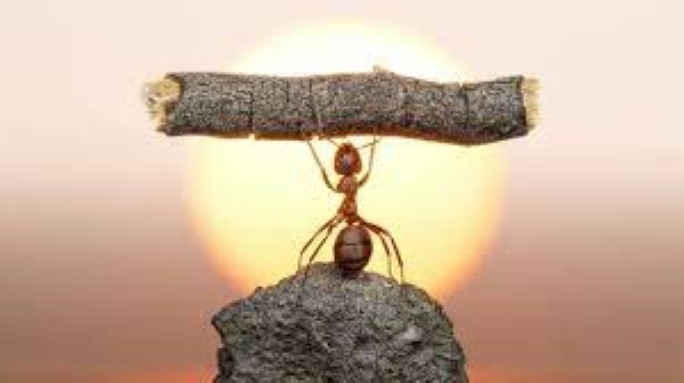 Как выбраться из постоянных неудач и стать победителем в своей жизни. Пять способов добиться успеха.