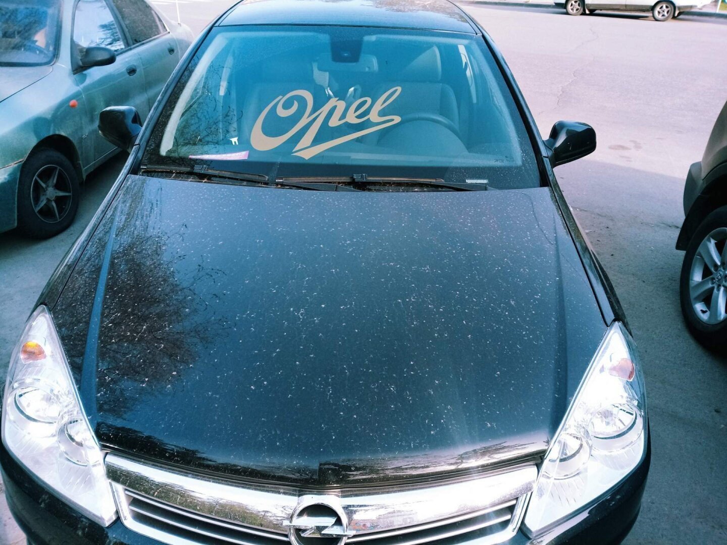 Идеи для смешных наклеек на кузов автомобиля