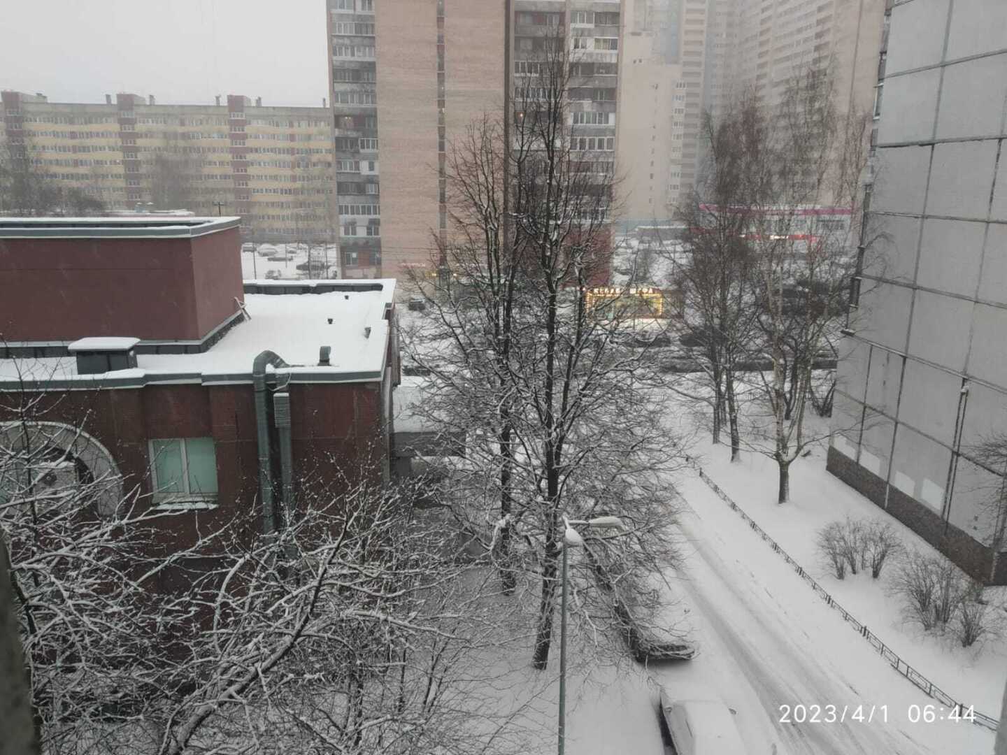 Когда же наконец кончится зима в этом году в Петербурге?