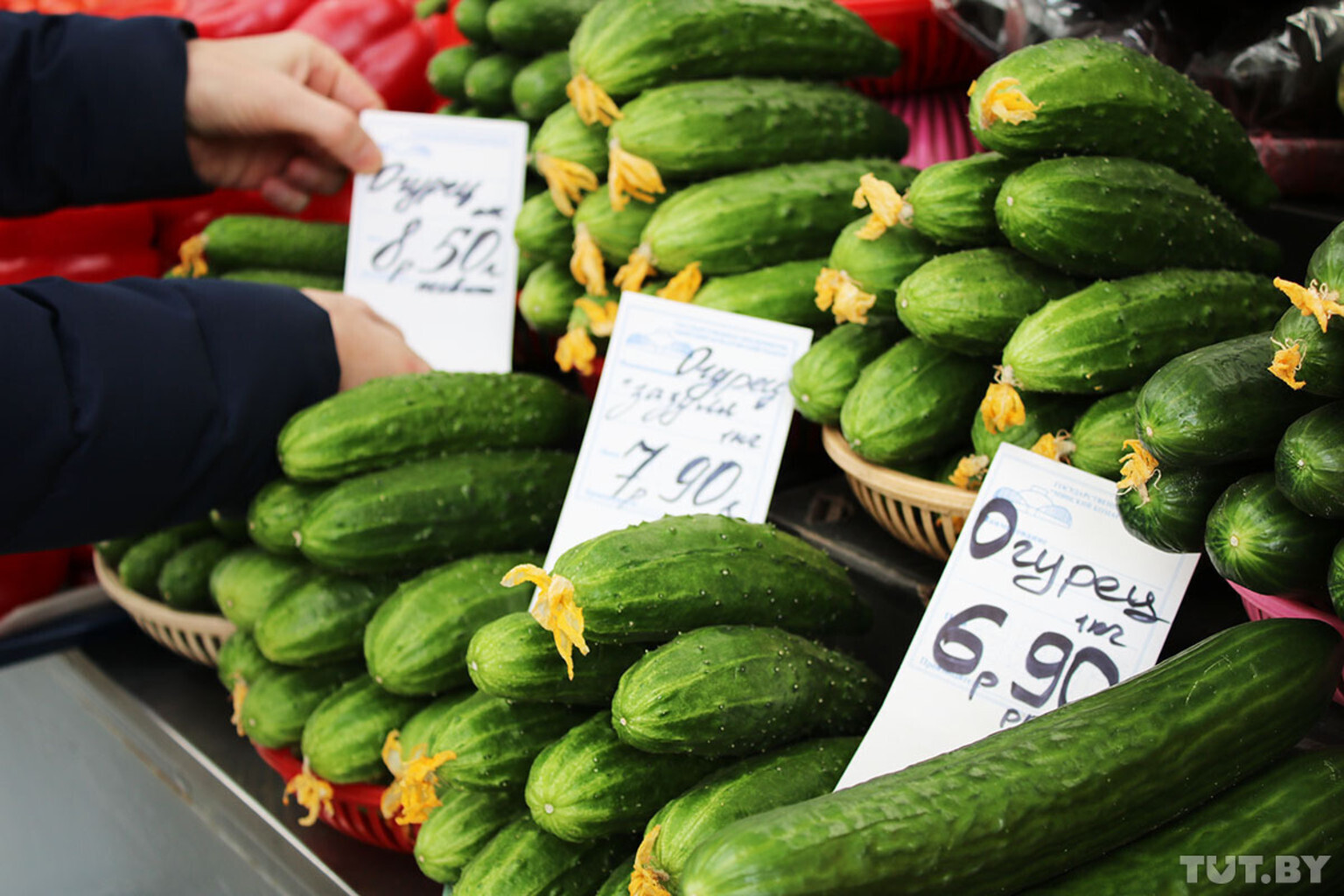 Продукты из магазина, которые можно вырастить дома