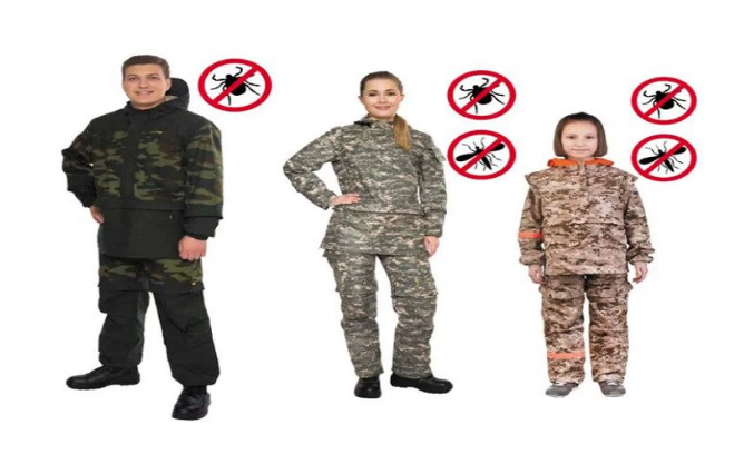 Первая помощь при укусе клеща| Клещевой энцефалит симптомы| Виды клещей