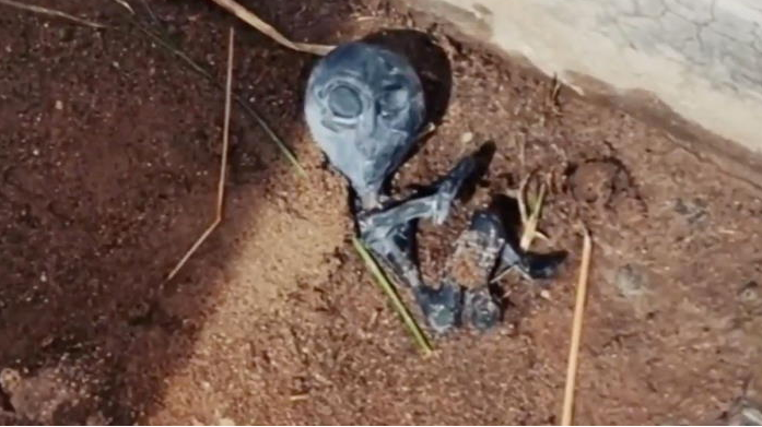 В Боливии нашли труп инопланетянина