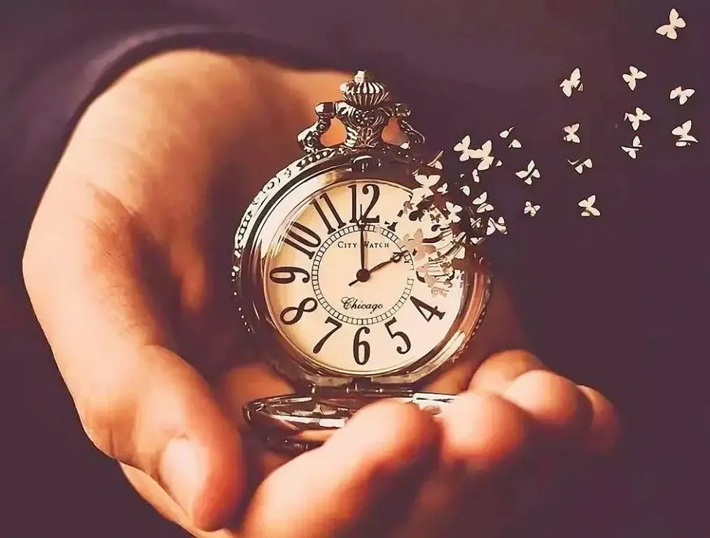 Что нельзя купить за деньги?