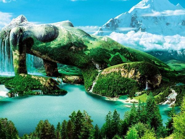 Мировая Природа находится в ОПАСНОСТИ !