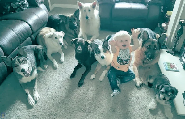 Как мне удалось собрать 17 животных в одном месте. Фотографии впечатляют