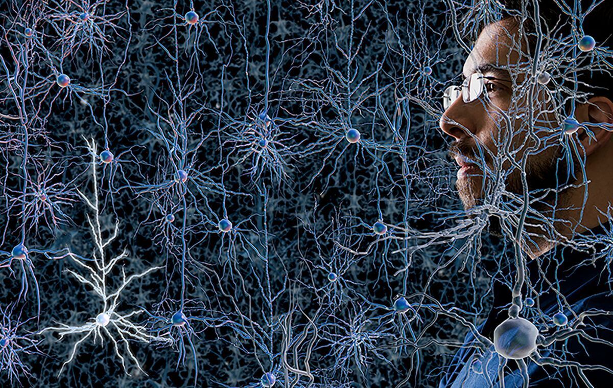 Claude 3 нейросеть. Нейронная сеть. Нейронная сеть человека. Нейросеть человек. Искусственная нейронная сеть.