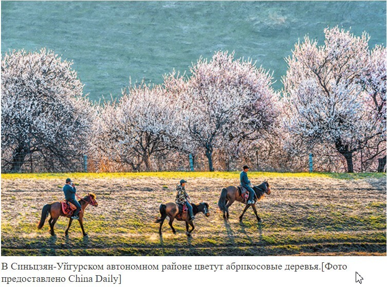 Весенние цветы придают бодрости туризму!