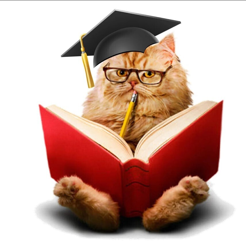 Как учиться быстро? 10 доказанных способов учиться быстрее. Метод Помодоро. Как быстро запомнить новую информацию?