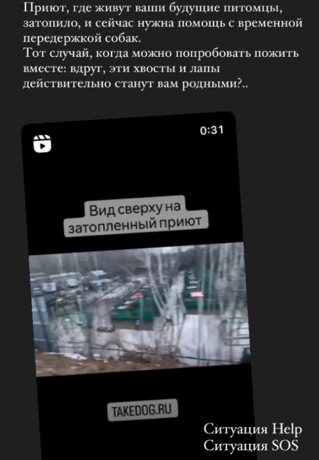 Ужасные кадры: последнее видео убитого Дмитрия Борисова.