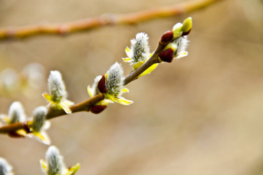 Апрельские приметы.