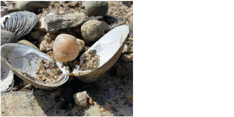 Девичий калейдоскоп. Что это? Читайте и узнаете