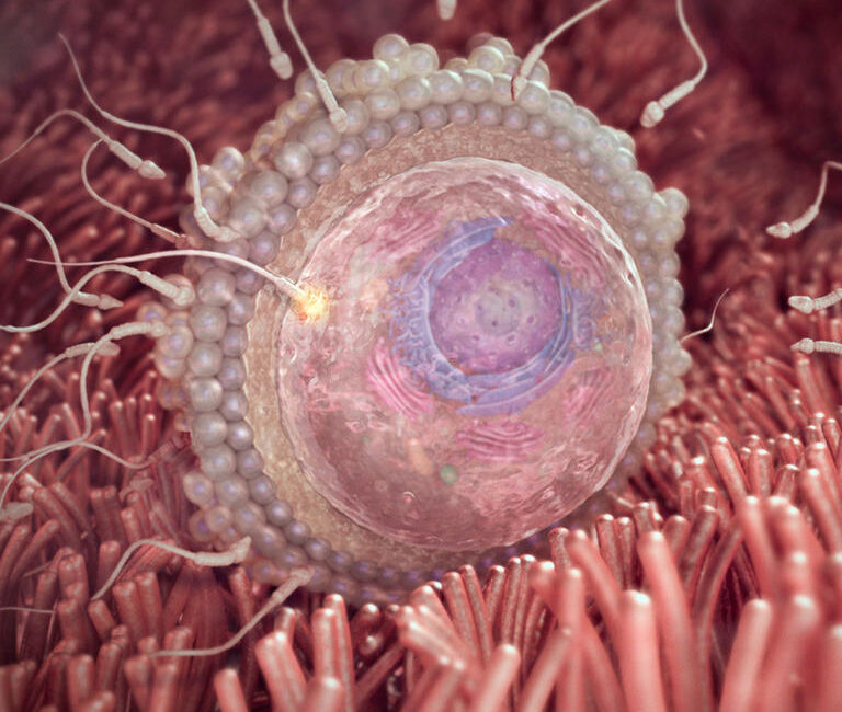 О женщинах, для женщин.