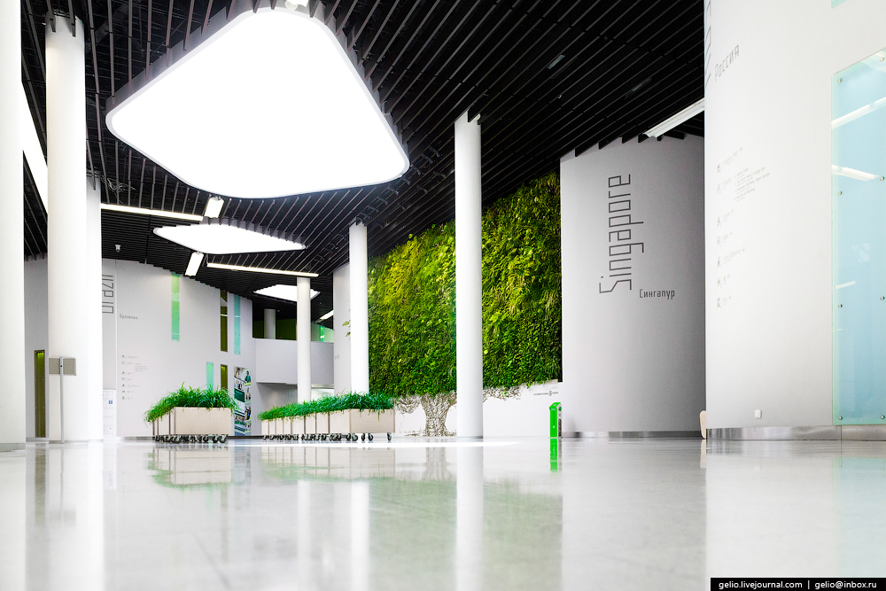 Легко ли стать резидентом Сколково?