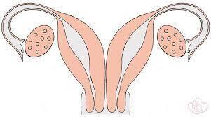 Сюрпризы женского тела