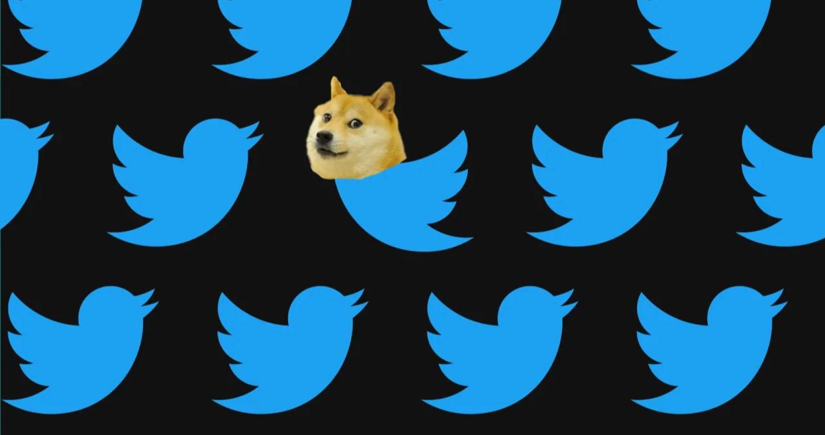 Dogecoin подпрыгивает, когда логотип Илона Маска в Твиттере переворачивается на собаку