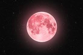 Сегодня ночью ожидается Розовое полнолуние. Что оно пророчит!