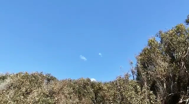 Ракетный обстрел Израиля из Ливана: "Хезболла" предупреждает о столкновениях у Аль-Аксы.