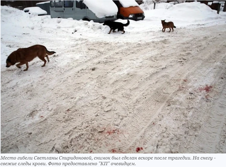 Четвероногие друзья. Собачки-людоеды