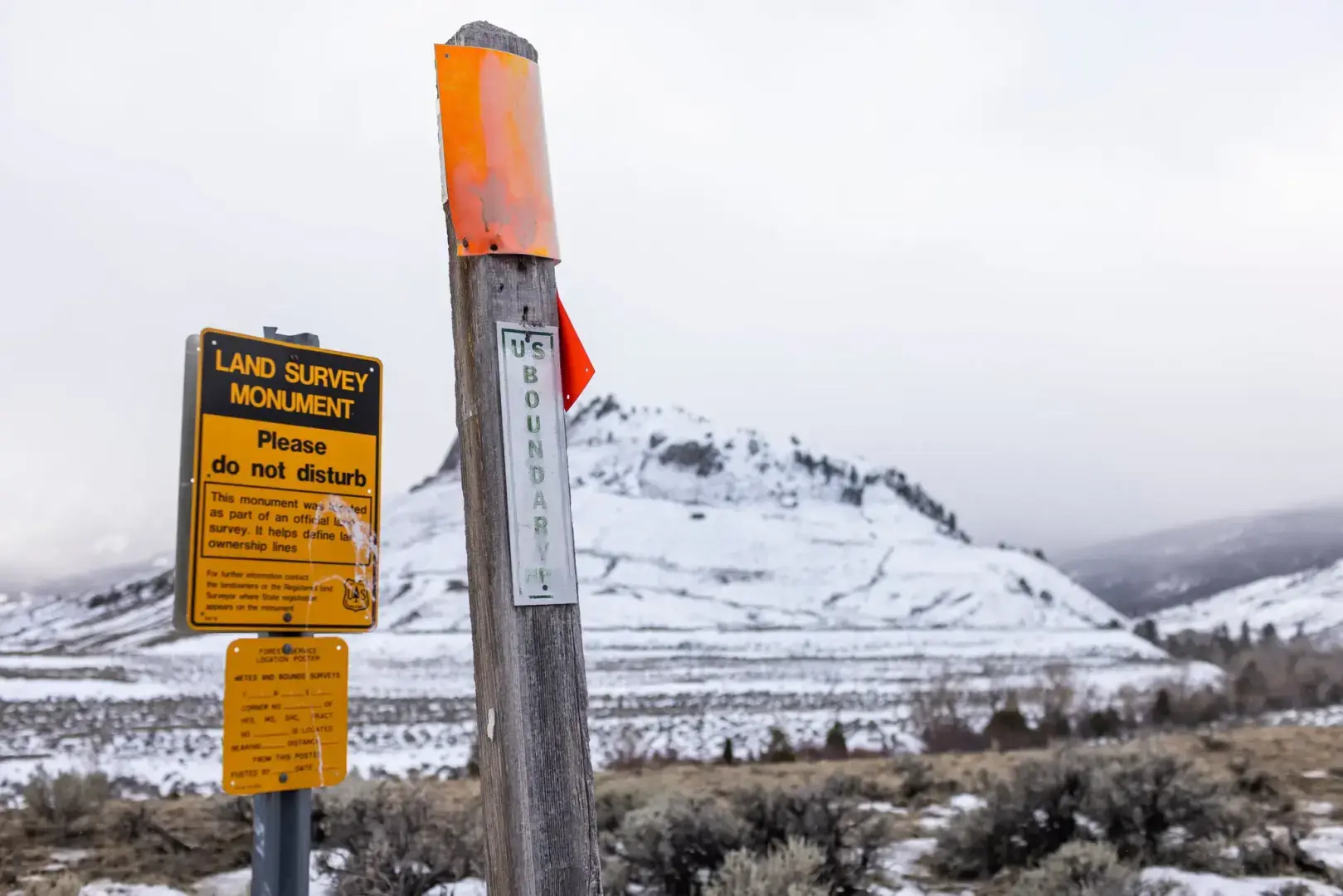 Массовая охота в Йеллоустоуне уничтожила 1150 бизонов