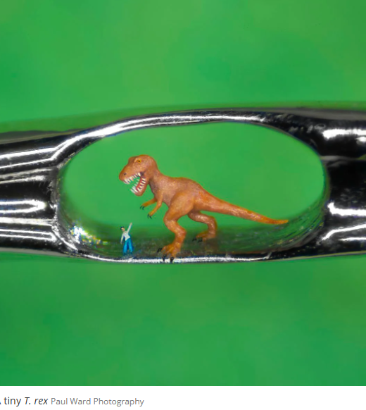 Иногда, ресницей в руках мастера, создаются крошечные скульптуры, которые помещаются в игольное ушко.