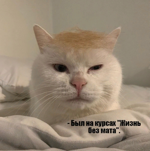 5 типов людей, от которых нужно держаться по дальше. Как распознать характер человека?