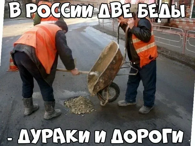 Два дурака картинка