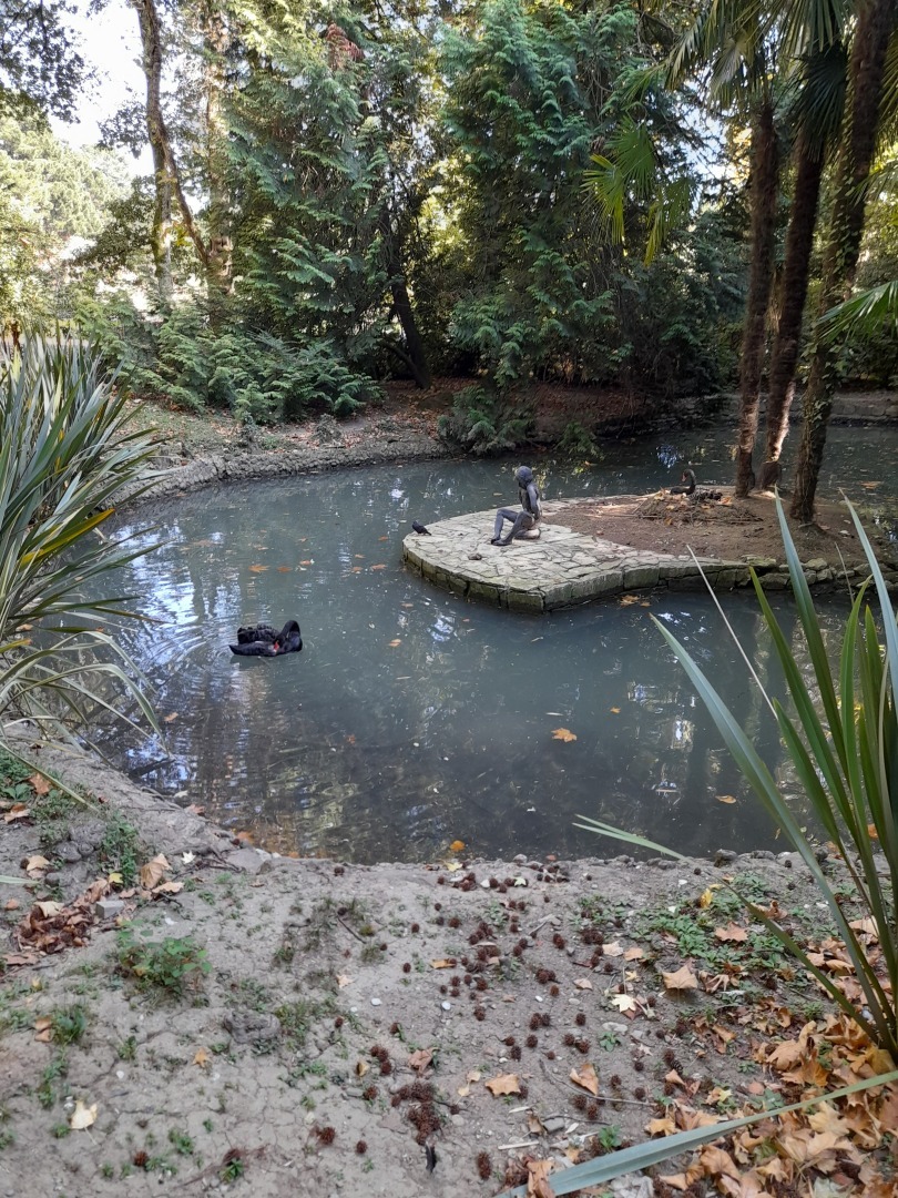 Сочинский дендрарий. Мои воспоминания, продолжение.