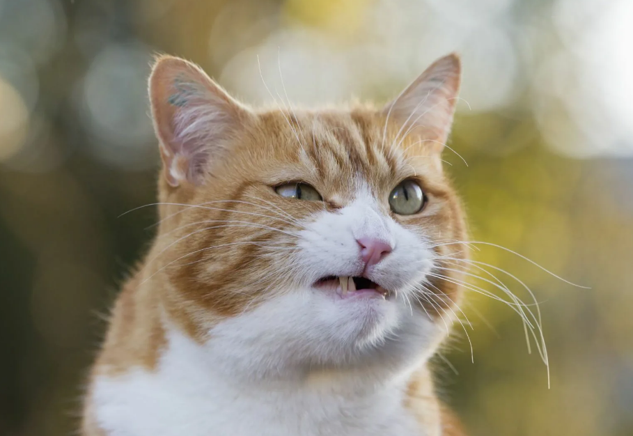 5 типов людей, от которых нужно держаться по дальше. Как распознать характер человека?