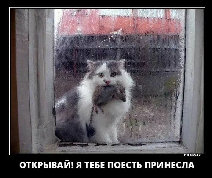 5 типов людей, от которых нужно держаться по дальше. Как распознать характер человека?