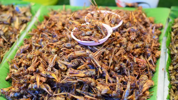 "Сверчковый хлеб": новая реальность "зелёного" мира. Готовы ли вы употреблять в пищу насекомых?