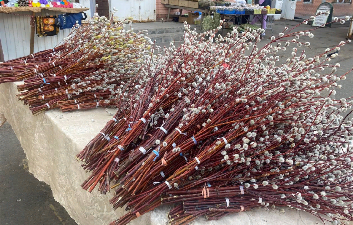 Вербное воскресенье 9 апреля 2023 года: народные обычаи, погодные приметы, работа на огороде и по дому