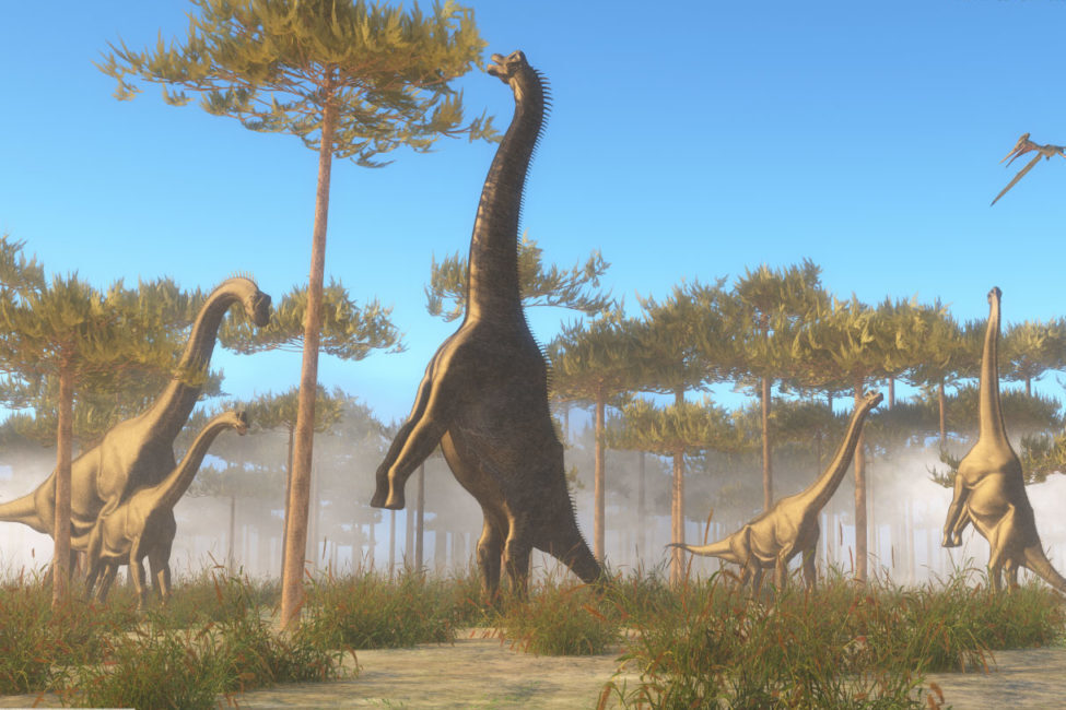 Интересная порода динозавров брахиозавр и