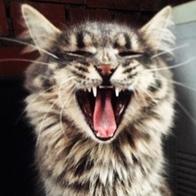 Анна, г. Реутов