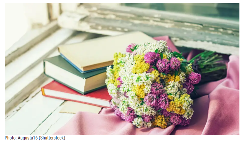 Никогда не храните эти предметы на подоконнике. Если не хотите, чтоб они испортились.