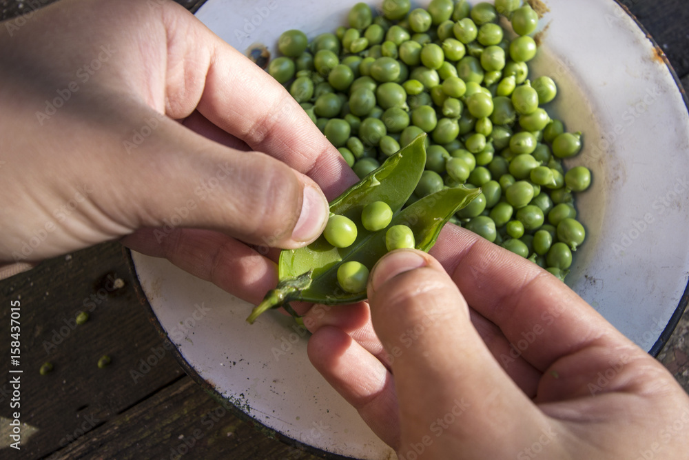 Всё, что Вы, возможно, не знали о зелёном горошке