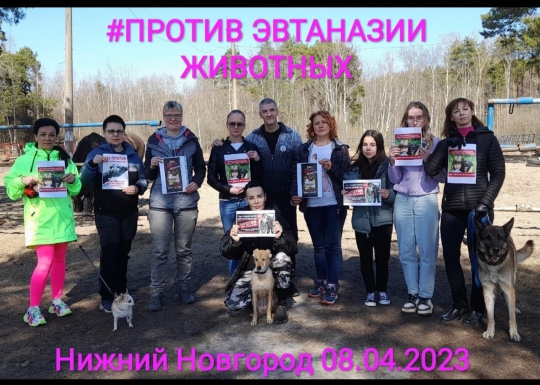 К слову об астраханских собаках-убийцах Строго 18+