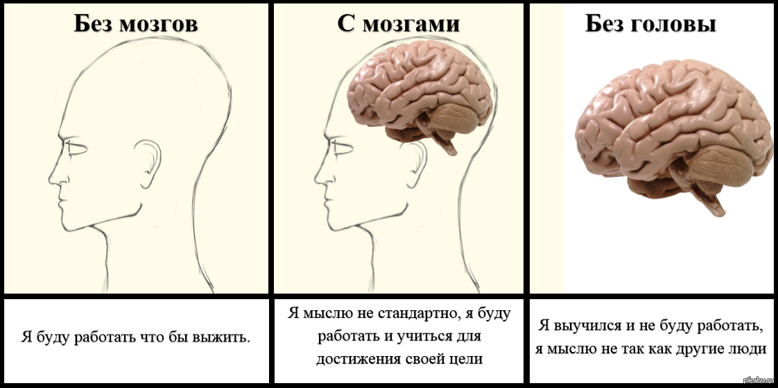 Столько планов есть в моем мозгу