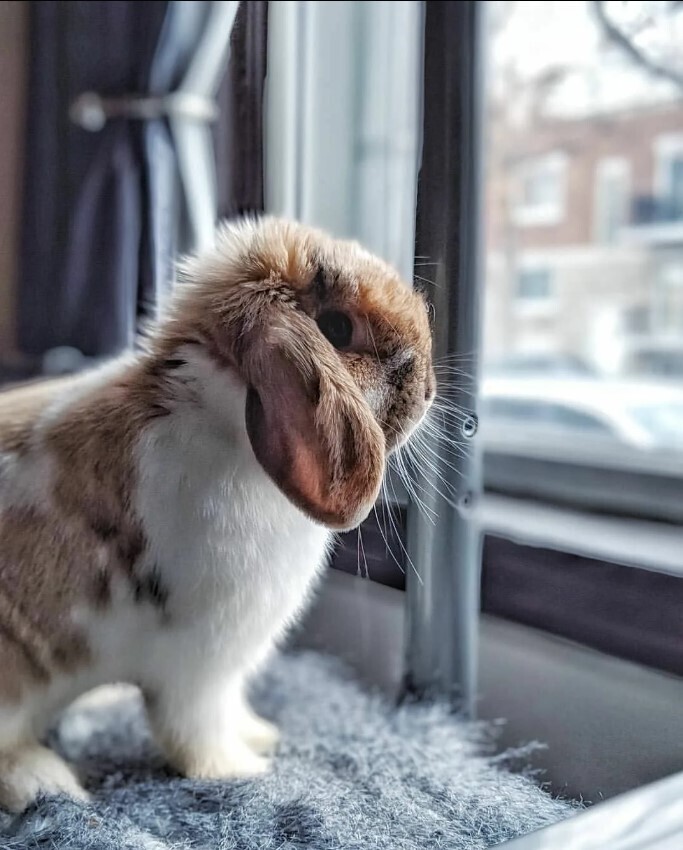 🌺Что делать если вы все время чувствуете себя неловко? Кто подвержен социальной неловкости? Нужно ли бороться с неуверенностью в себе?🌺