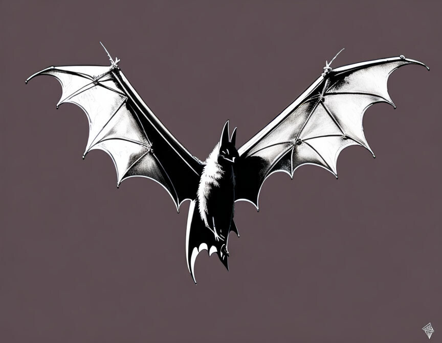 Летучие мыши - ночные герои экосистемы