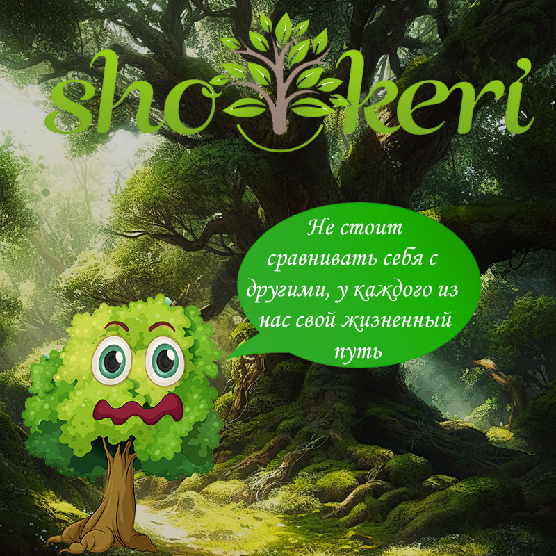 🌱 Какие бывают долги - 10 различных вариантов 🌱