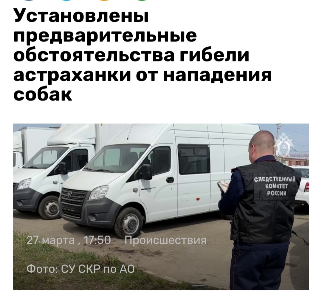 К слову об астраханских собаках-убийцах Строго 18+