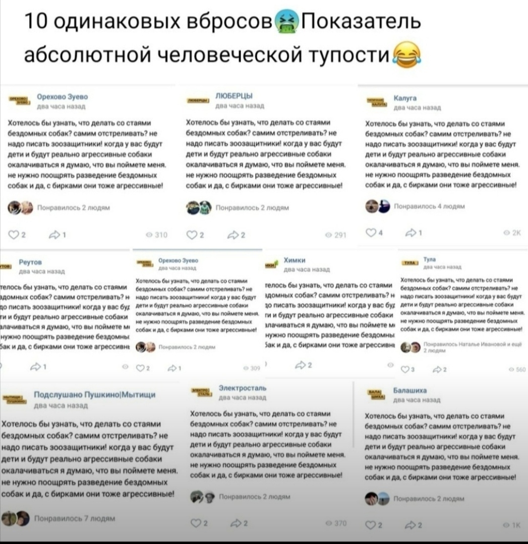 К слову об астраханских собаках-убийцах Строго 18+