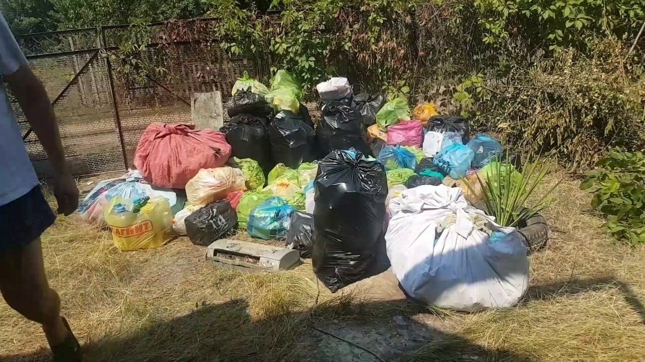 Новые штрафы для граждан: мытье машины, шашлыки, костры, мусор. Какие штрафы и за что будут выписывать дачникам в 2023 году