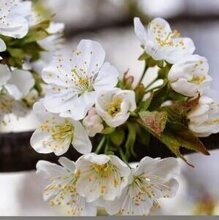 Юлия, г. Ставрополь