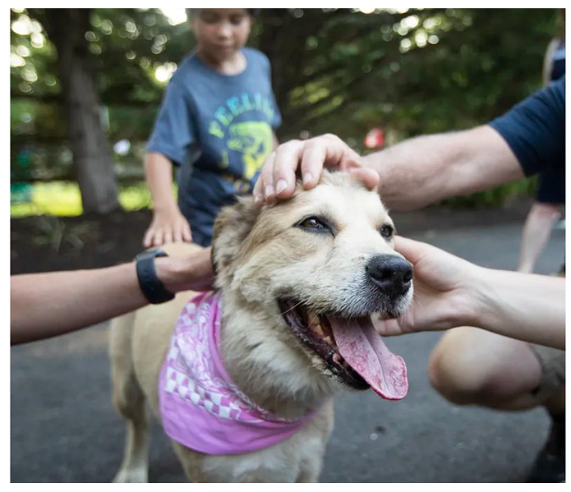 Турчич ушел неопытным 25-летним парнем, а вернулся 32-летним, умудренным опытом. Часть 3