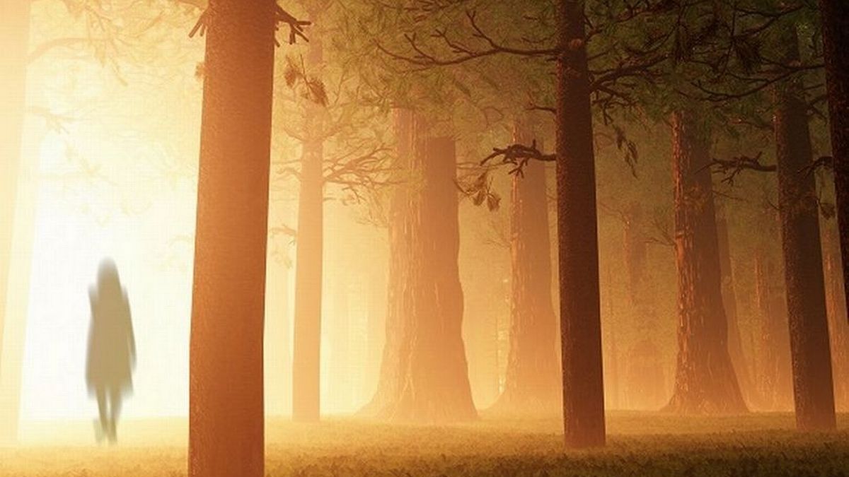 Испуганная мать вызывает полицию после того, как «увидела в своих детях призраков», что побудило полицейских явиться на место происшествия