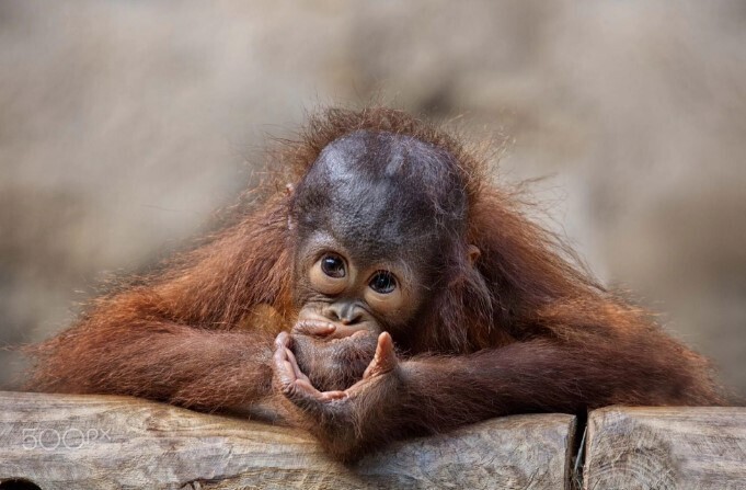 9 простых списков, которые помогут стать продуктивнее. Список "не дел". Чем полезен список "не дел" и как его составить?