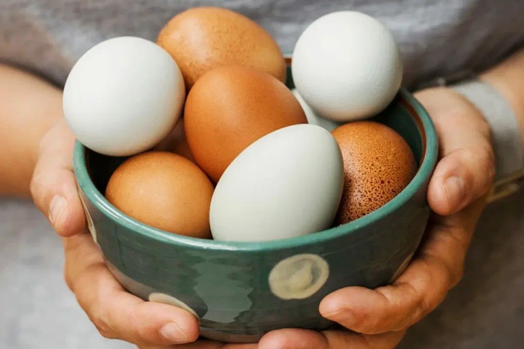 Как проверить свежесть яиц