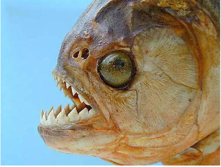 Самая жуткая репутация.