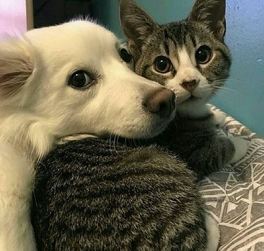 Наконец-то я понял, как можно полюбить людей